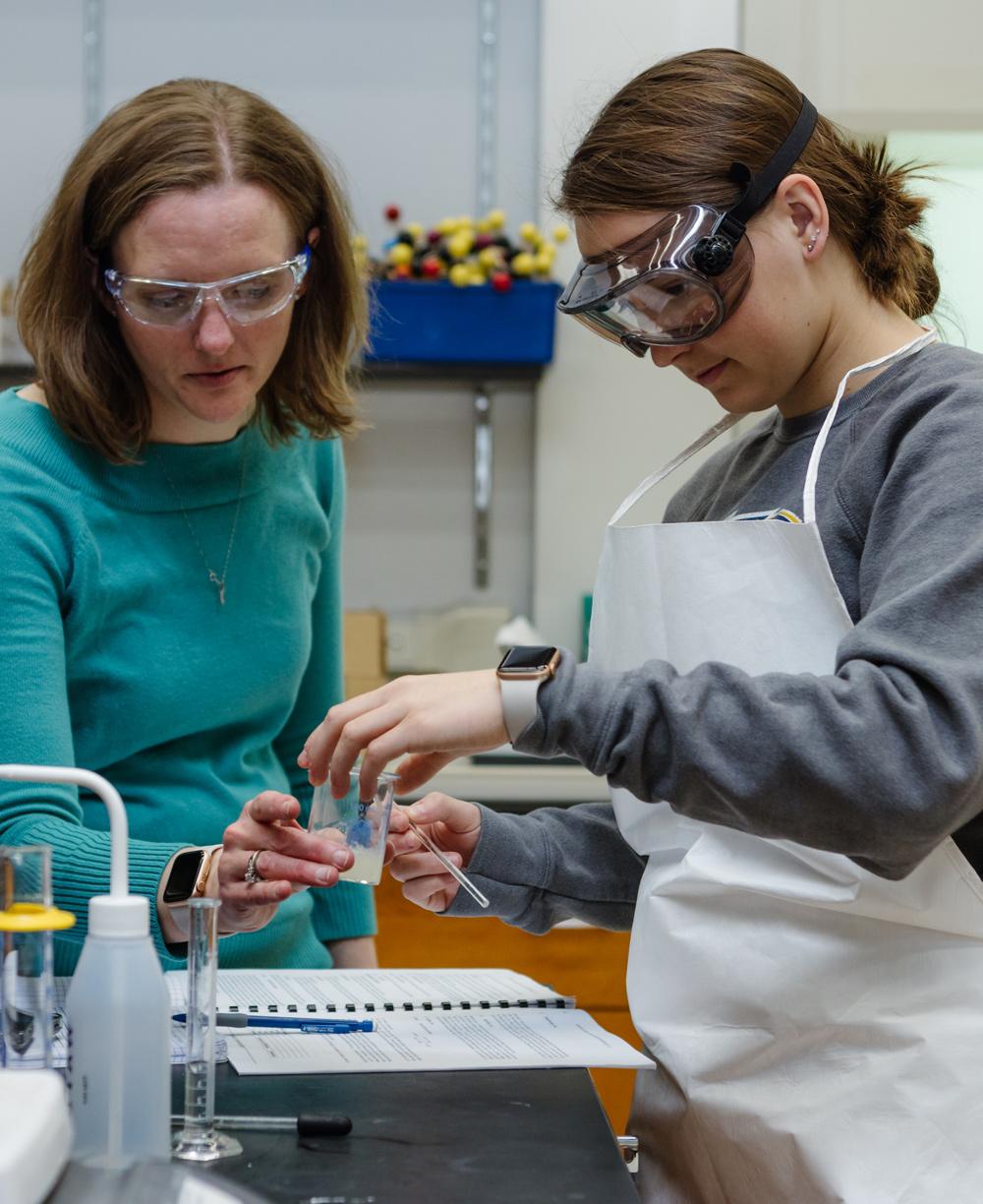 Chemistry professor helping student with research